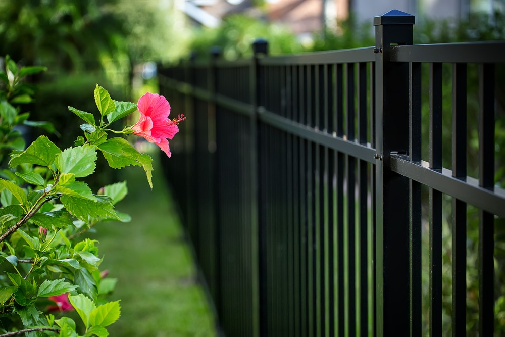 Black aluminum flat-top fence with pyramid post caps along a manicured side yard with hibiscus