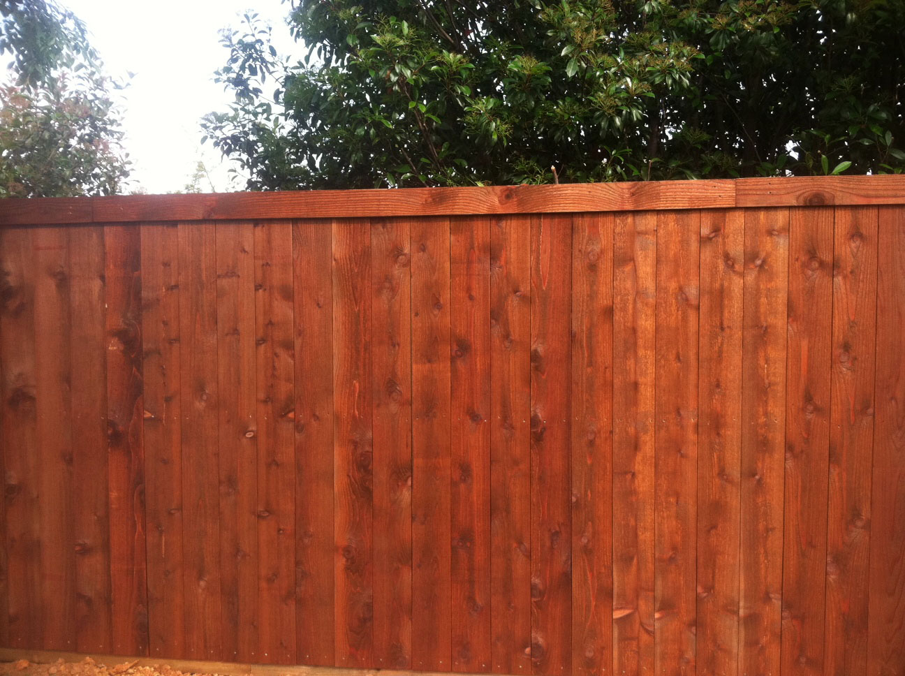Cedar privacy fence with cap and trim finished in a mahogany semi-transparent stain